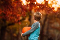 Portrait of a Boy standing in a garden carrying a pumpkin, United States — Stock Photo