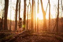 Хлопчик, який восени стоїть у лісі, США. — стокове фото