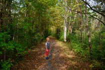 Мальчик, стоящий на тропинке ранней осенью, США — стоковое фото