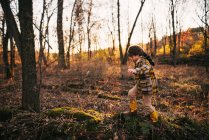 Boy walking through the woods in autumn, Stati Uniti — Foto stock