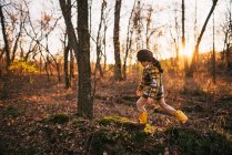 Garçon marchant dans les bois en automne, États-Unis — Photo de stock