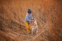 Boy standing in a field stroking his golden retriever dog, United States - foto de stock