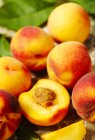 Vista de perto das frutas frescas de pêssegos — Fotografia de Stock