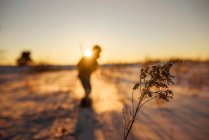 Boy walking in the snow in the evening, United States — Stock Photo