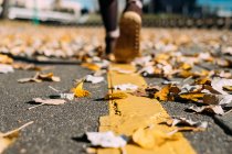 Mulher caminhando ao longo de uma estrada coberta de folhas de outono — Fotografia de Stock