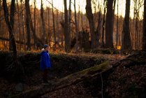 Garçon debout sur un arbre tombé dans les bois, États-Unis — Photo de stock