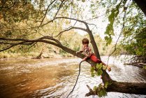 Niño sentado en un árbol sosteniendo un palo, Estados Unidos - foto de stock