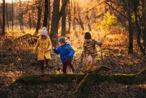 Tres niños jugando en el bosque, Estados Unidos - foto de stock