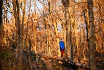 Boy standing on a fallen tree in the woods, United States — Stock Photo