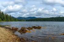 Vista panorâmica da praia rural, Ilha de Vancouver, Colúmbia Britânica, Canadá — Fotografia de Stock