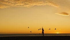 Silhouette of a woman feeding seagulls on beach at sunset, New Zealand — Stock Photo