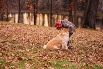 Chica de pie en el bosque jugando con su perro, Estados Unidos - foto de stock