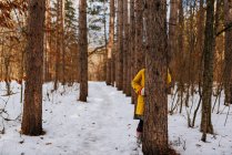 Девушка, прячущаяся за деревом в снежном лесу, США — стоковое фото
