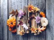 Top view of Books, flowers, leaves and pumpkins — Stock Photo