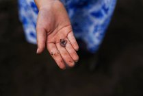Girl holding a worm in her hand — Stock Photo