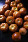 Vue de face des tomates fraîchement lavées — Photo de stock