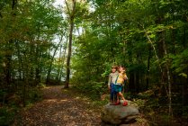 Niño y niña de pie sobre una roca en el bosque a principios de otoño, Estados Unidos - foto de stock