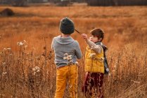Dos chicos jugando con hierba larga en un campo, Estados Unidos - foto de stock
