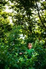 Portrait d'un garçon assis dans un arbre, États-Unis — Photo de stock