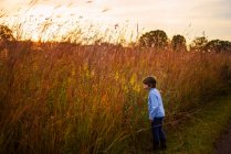 Porträt eines Jungen, der bei Sonnenuntergang auf einem Feld steht, Vereinigte Staaten — Stockfoto