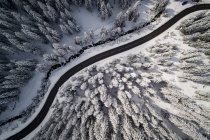 Vista aérea en un camino serpenteando entre árboles cubiertos de nieve en los Alpes austríacos . - foto de stock
