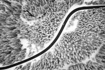 Вид с воздуха на дорогу, извивающуюся через заснеженные деревья в австрийских Альпах . — стоковое фото