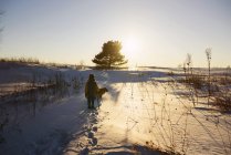 Boy walking through a field in winter snow, Estados Unidos - foto de stock
