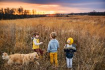Three children in a field at sunset with their golden retriever dog, United States — Stock Photo