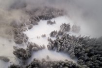 Vista aérea del bosque cubierto de nieve al atardecer, Baviera, Alemania - foto de stock