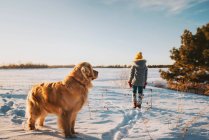 Chica caminando en la nieve con su perro golden retriever, Estados Unidos - foto de stock