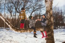 Drei Kinder klettern auf einen Baum im Schnee, USA — Stockfoto