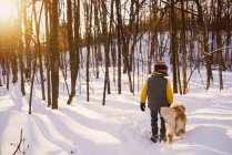 Ragazzo che cammina attraverso una foresta nella neve con il suo cane, Stati Uniti — Foto stock