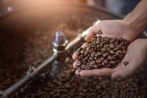 Gros plan d'une femme mains tenant des grains de café torréfiés — Photo de stock