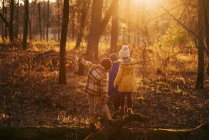 Tres niños jugando en el bosque, Estados Unidos - foto de stock