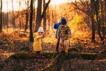 Três crianças brincando na floresta, Estados Unidos — Fotografia de Stock