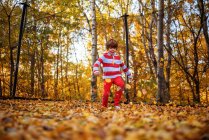 Boy standing on a trampoline covered in autumn leaves, United States — Stock Photo