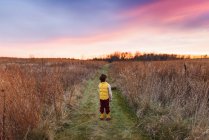 Ragazzo in piedi in un campo al tramonto, Stati Uniti — Foto stock