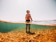 Niño de pie en un lago, Lago Superior, Estados Unidos - foto de stock