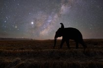 Silhouette eines Mahouts auf einem Elefanten in ländlicher Landschaft bei Nacht, Thailand — Stockfoto