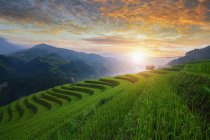 Terraços de arroz ao pôr do sol, Mu Cang chai, Vietnã — Fotografia de Stock