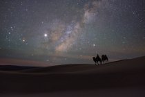 Silhouette eines Mannes, der nachts in der Wüste der Mongolei mit einem anderen Kamel im Schlepptau reitet — Stockfoto