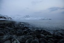 Costa rochosa congelada no inverno, Murmansk, Rússia — Fotografia de Stock