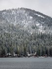 Alberi e cabine sempreverdi ricoperti di neve lungo la riva del lago Tahoe, California, USA — Foto stock