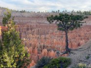 Landschaft des Bryce Canyon Nationalparks, Utah, USA — Stockfoto
