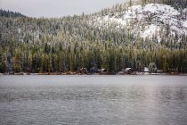 Árboles y cabañas siempreverdes cubiertos de nieve a lo largo de la costa del lago Tahoe, Lake Tahoe National Forest, California, EE.UU. - foto de stock