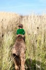 Вид сзади на девушку, идущую по длинной траве со своей собакой, Польша — стоковое фото