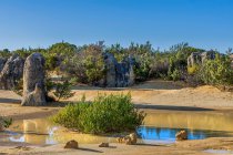 Pinnacles reflections in a pond, Nambung National Park, Western Australia, Australia — стокове фото