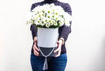 Woman holding a bunch of daises in a box — Stock Photo