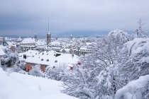 Skyline de la ville en hiver, Zurich, Suisse — Photo de stock