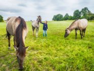 Chica de pie en un prado acariciando un caballo, Polonia - foto de stock